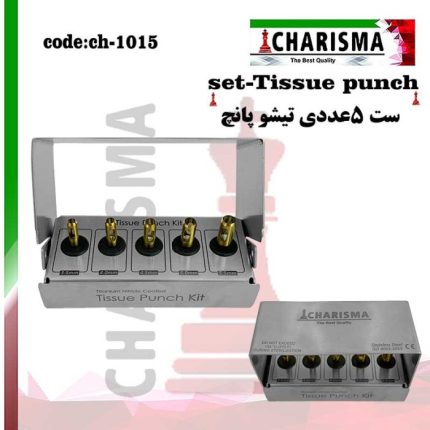 تصویر کیت  تیشو پانچ و تکی کاریزما