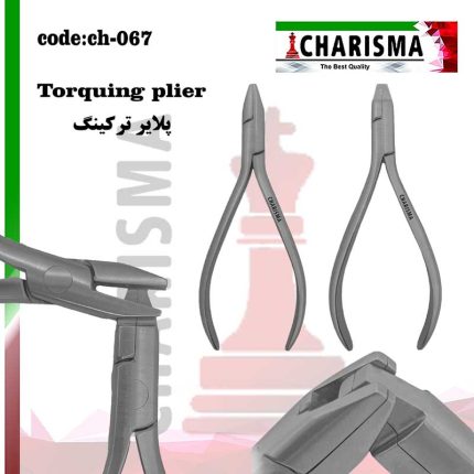 تصویر پلایر ترکینگ کاریزما (2عددی)