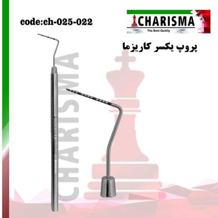 تصویر پروپ یکسر کاریزما
