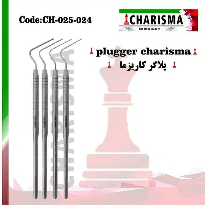 پلاگر کاریزما