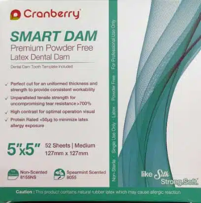 Smartdam-SC1