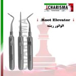 تصویر الواتور ریشه کاریزما ( مستقیم / چپ و راست ))