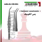 پنس آناتومیک کاریزما