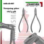تصویر پلایر ترکینگ کاریزما (2عددی)