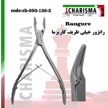تصویر رانژور  خیلی ظریف کاریزما